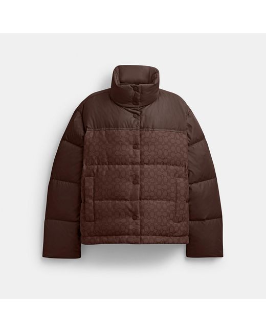 COACH Brown Signature Down Jacket