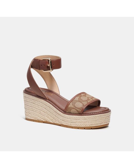 Coach Outlet Brown Korey Espadrille In Signature Jacquard