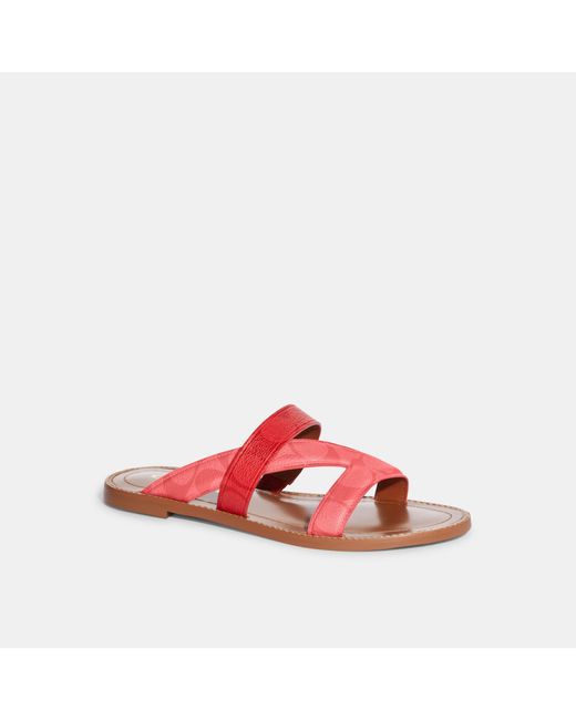 Coach Outlet Red Harlan Sandal