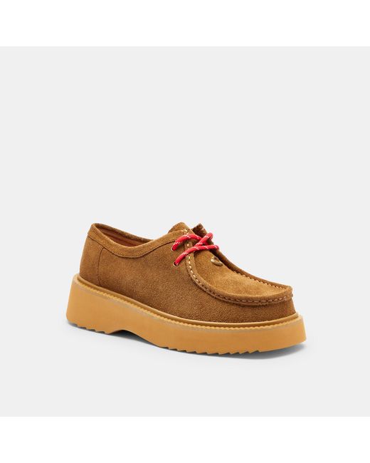 COACH Brown Sculpted C Chukka Boot