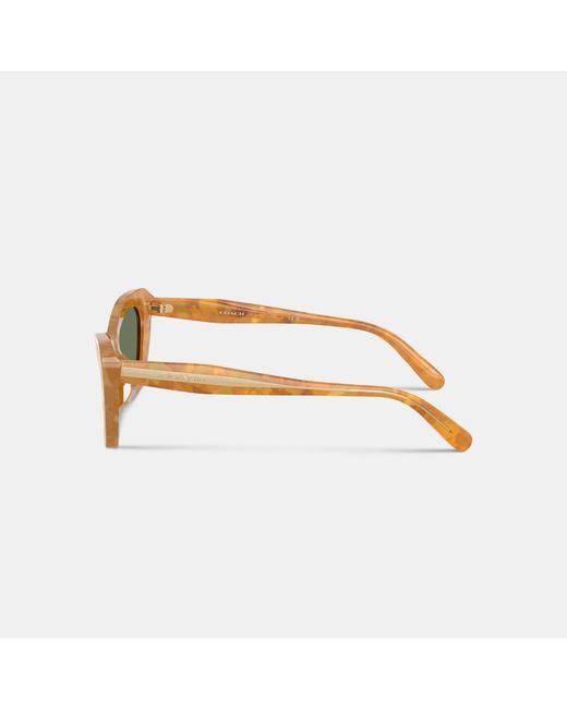 COACH Green Wire Cat Eye Sunglasses