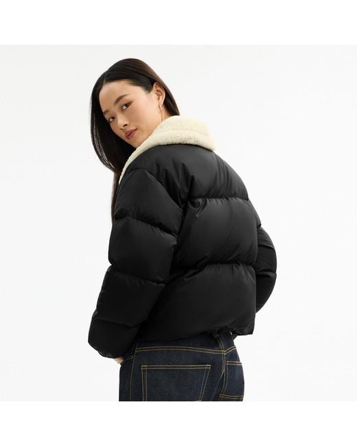 COACH Black Puffer With Shearling Collar