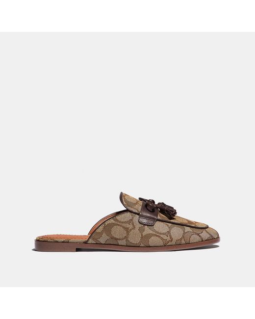 coach outlet shoes woman
