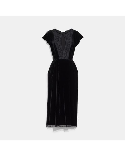 COACH Synthetic Short Sleeve Dress in 