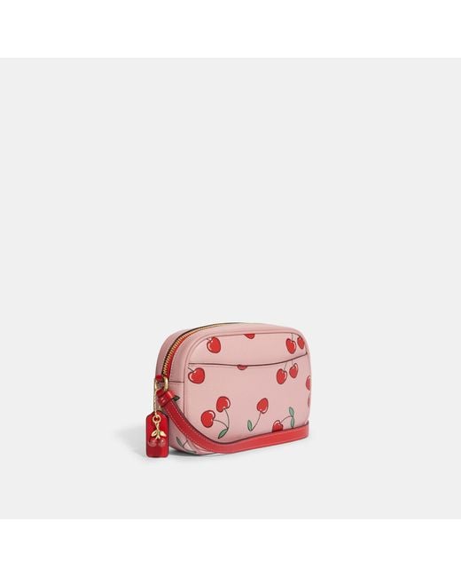 Mini camera bag with ladybug print hotsell