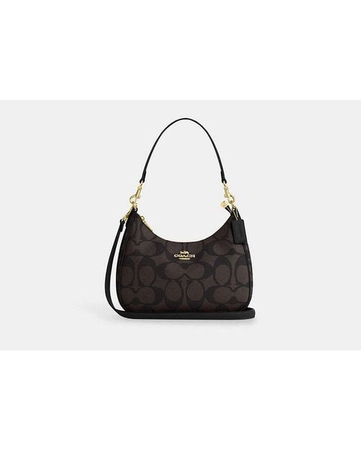 COACH Black Teri Hobo Bag In Blocked Signature Canvas