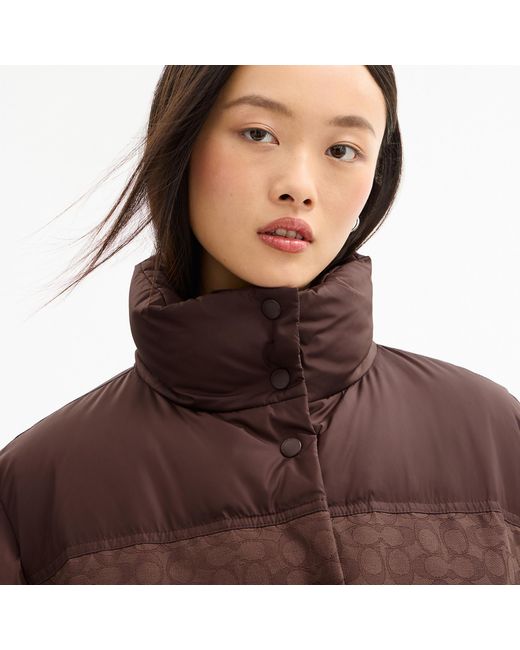 COACH Brown Signature Down Jacket