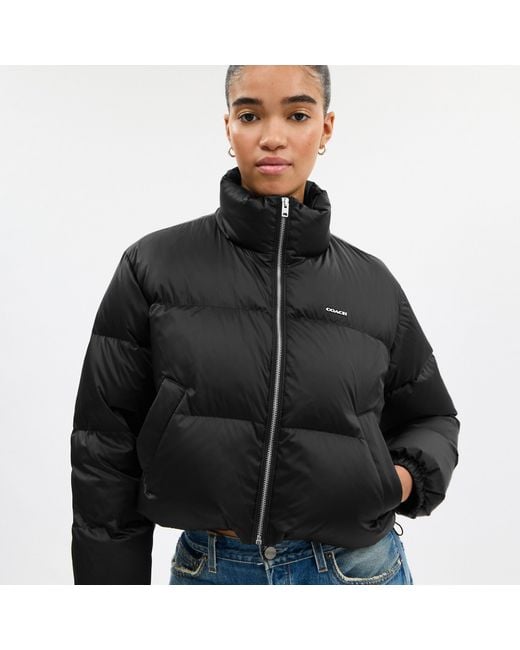 COACH Black Short Cropped Puffer Jacket