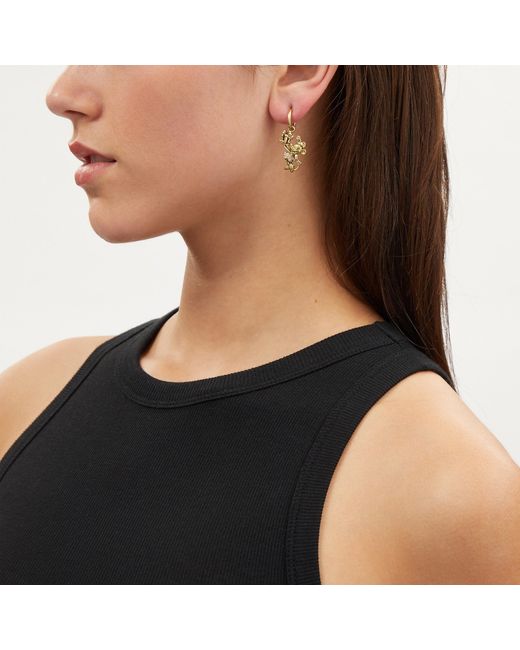 Coach outlet earrings deals