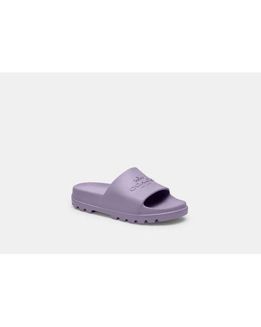 COACH Purple Jac Slide