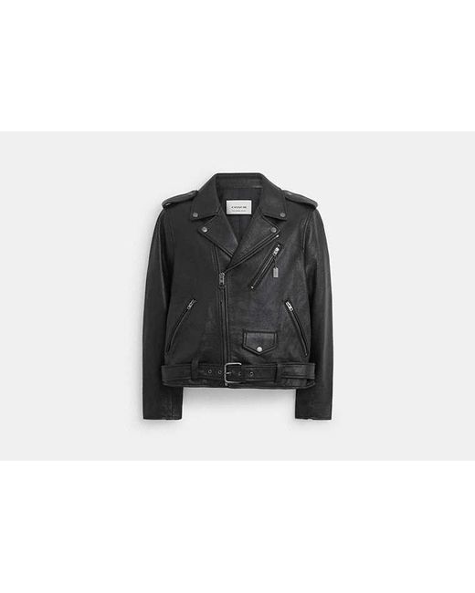 COACH Black Leather Moto Jacket for men