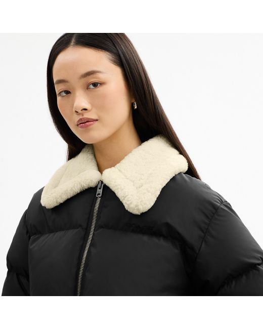 COACH Black Puffer With Shearling Collar