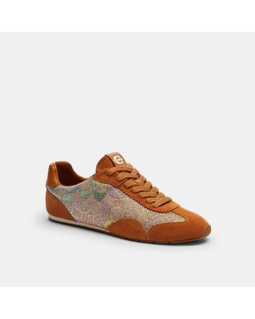 COACH Brown Flat Sneaker
