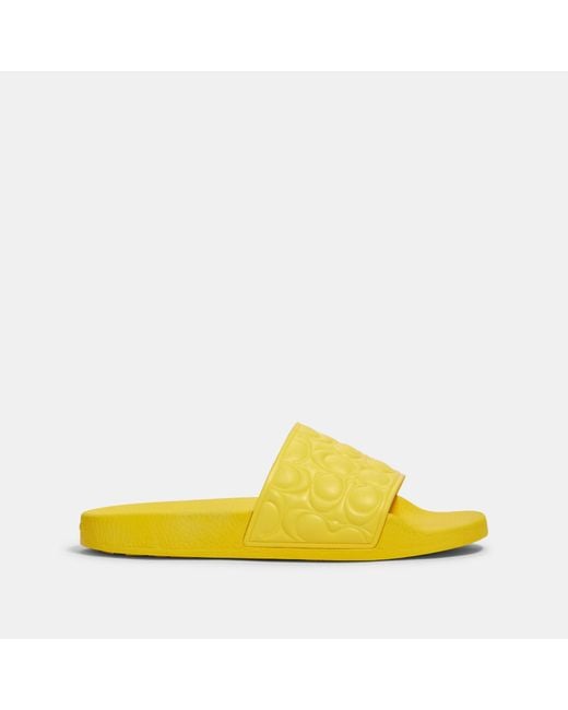 coach slides yellow