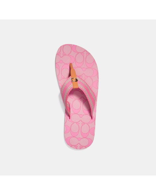 Coach Outlet Zoe Flip Flop in Pink Lyst