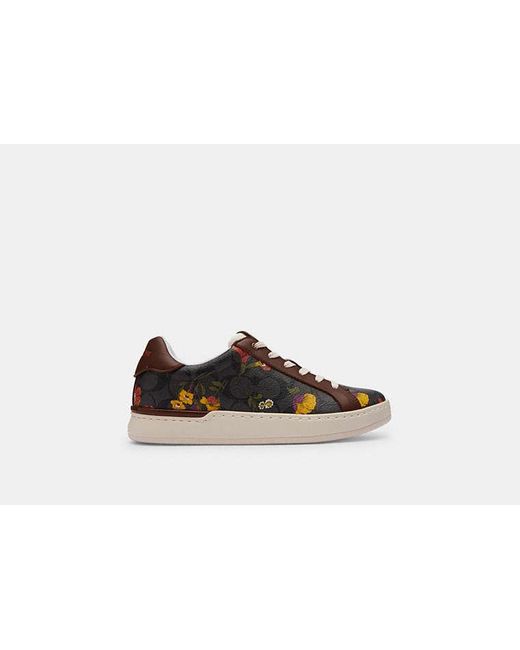 COACH Black Clip Low Top Sneaker In Signature Canvas With Floral Print