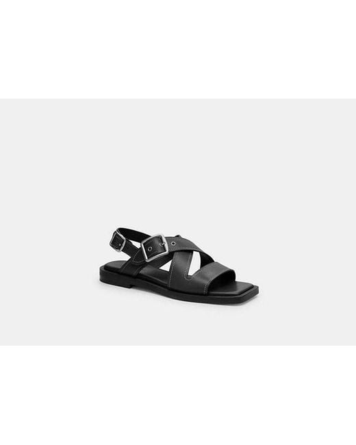 COACH Black Archival Buckle Flat Sandal