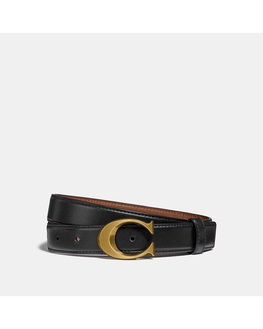 coach belt