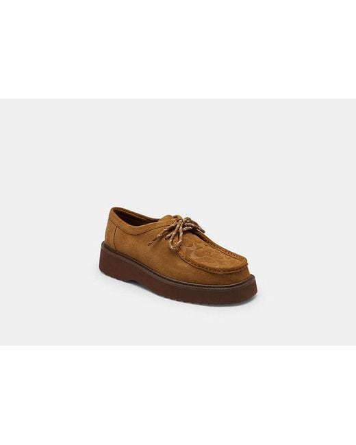 COACH Brown Chukka Boot for men