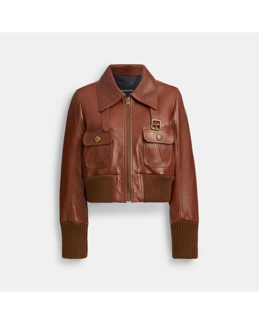 COACH Brown Shrunken Leather Aviator Jacket