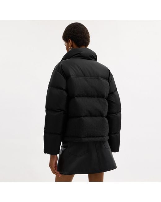 COACH Black Signature Down Jacket