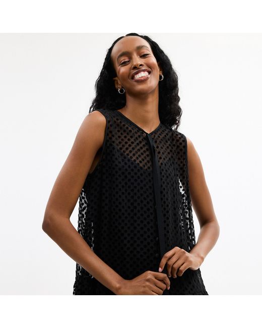COACH Velvet Burnout Dress in Black