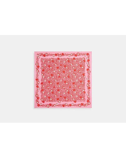 COACH Black Country Club Floral Print Silk Bandana