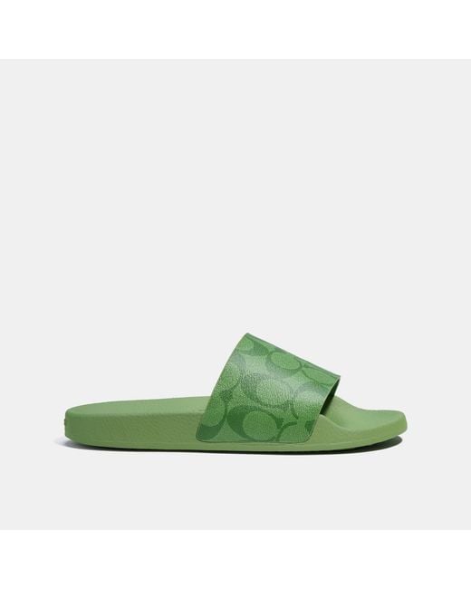 Coach slides green Clearance
