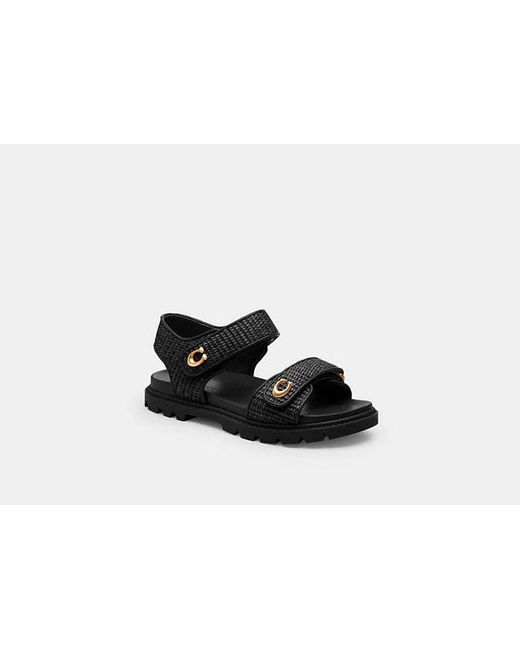 COACH Black Brynn Sandal