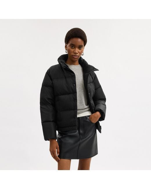 COACH Black Signature Down Jacket