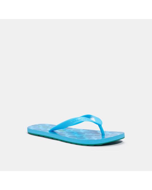 coach flops