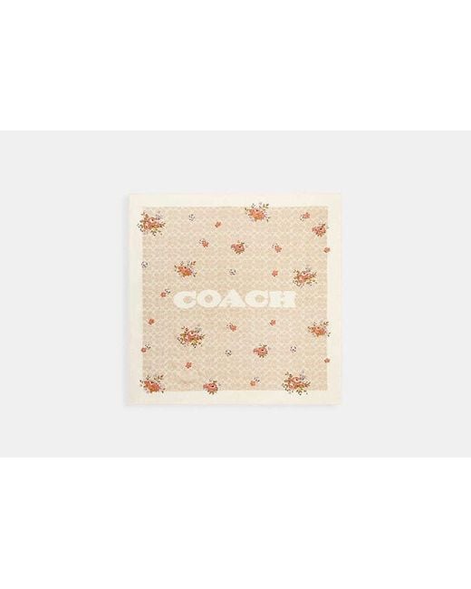 COACH Black Signature Spring Blossom Print Silk Square Scarf