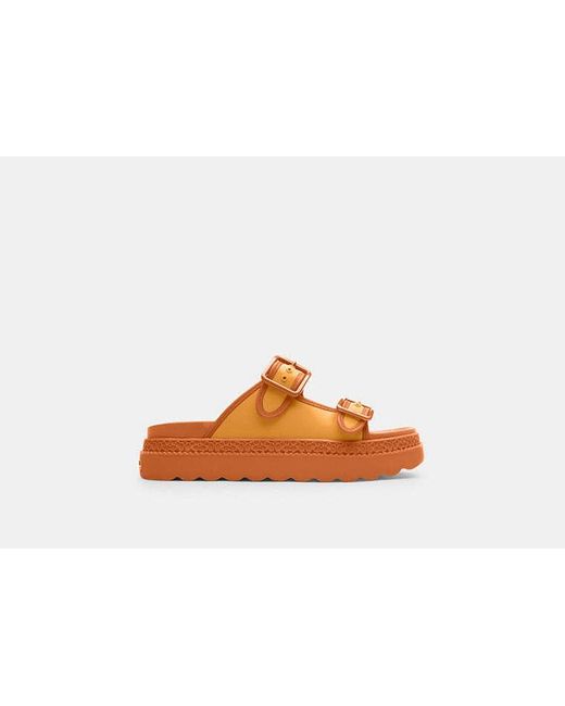 【Coach】Lainey Sandal サンダル ◆国内発送◆ COACH Lainey Sandal in Orange | Lyst