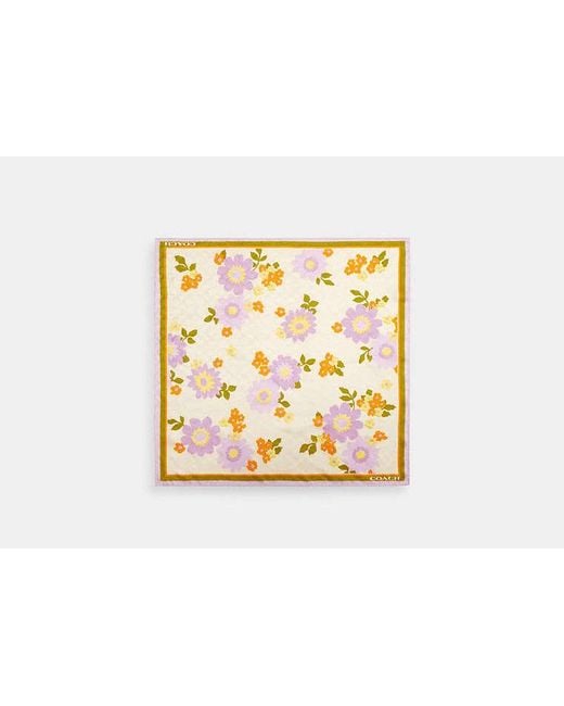 COACH Black Signature Floral Print Silk Bandana