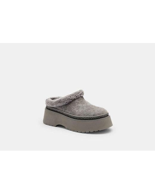 COACH Black Cecelia Clog