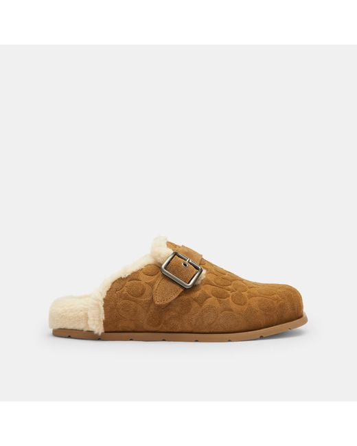 COACH Brown Buckle Clog for men