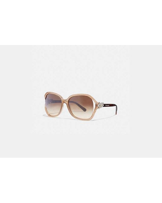 COACH Black Integration Flower Sunglasses
