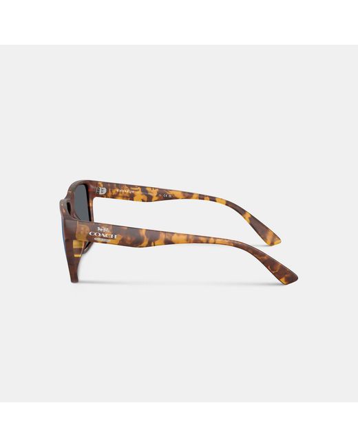 COACH Blue Square Sunglasses for men