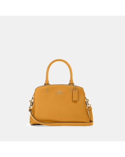 coach outlet mini lillie carryall