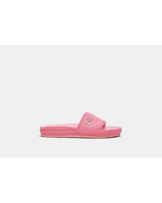 COACH Pink Averie Sandal