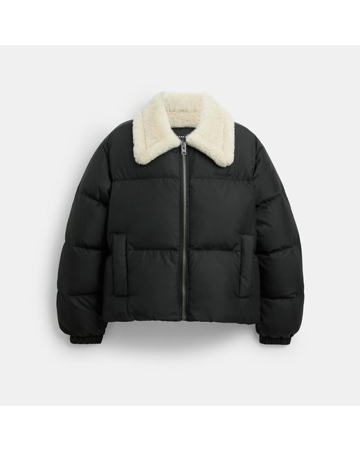 COACH Black Puffer With Shearling Collar