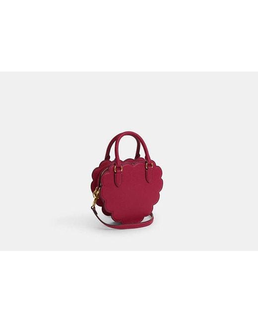 COACH Black Raspberry Crossbody