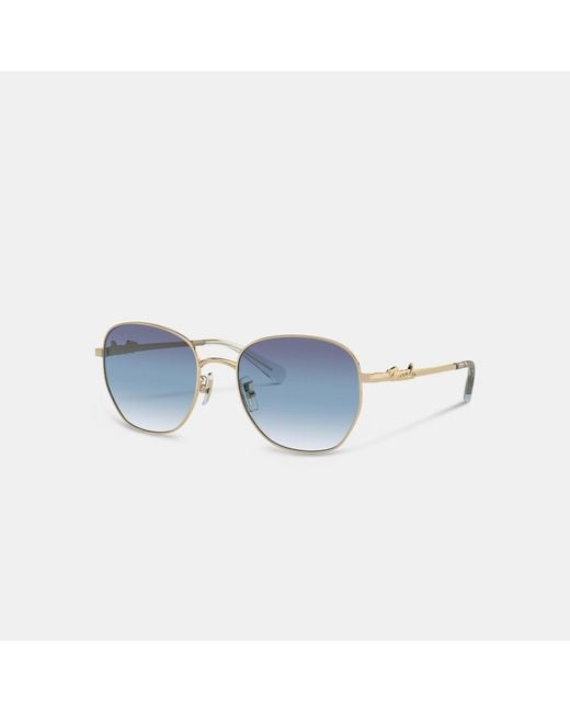 COACH Blue Script Round Sunglasses