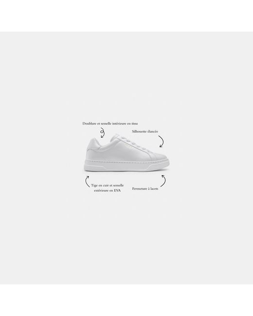 COACH Black High Line Sneakers