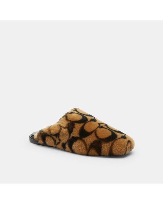 COACH Brown Slipper