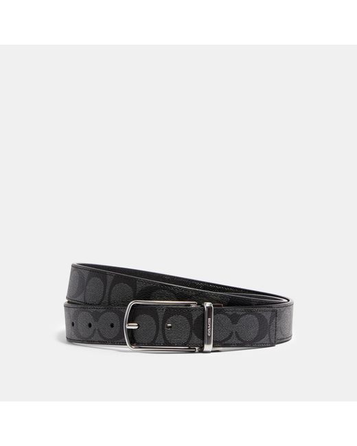 coach outlet belt