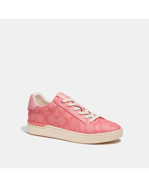 COACH Pink Clip Low Top Sneaker