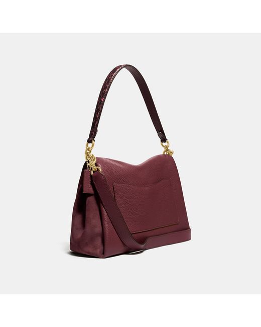 lora carryall coach