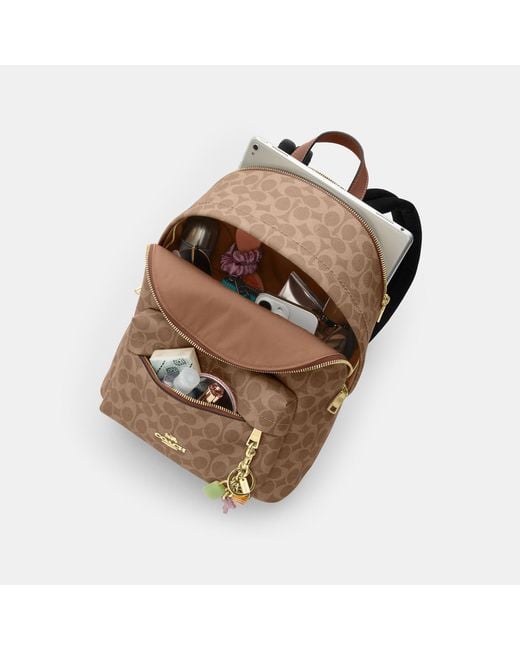 COACH Brown Taylor Small Backpack