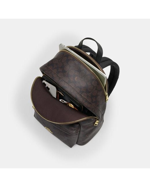 COACH Black Taylor Small Backpack